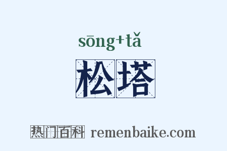 松塔是什么意思的图片